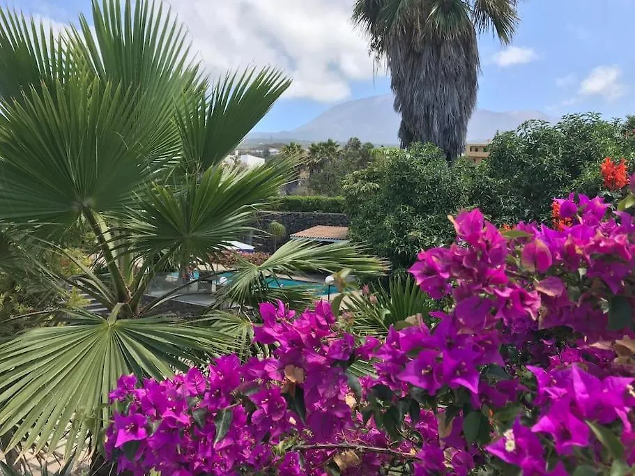 Villa Finca El Cardinal - Atemberaubende Luxusvilla Icod De Los Vinos